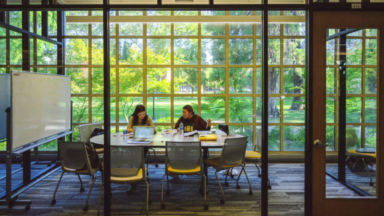 student studying in library