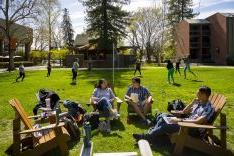 the quad with volleyball in the background