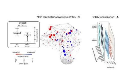 A cell signaling–based elastic net (csEN) analysis identifies systemic immune signaling features associated with chronic periodontitis (ChP). (A) We adapted a previously implemented cell signaling–based penalization matrix for the csEN analysis that accounted for whether a cell type– and receptor-specific signaling response to each stimulation condition is supported by prior knowledge of signal transduction pathways. (B) (Left panel) The csEN identified immune signaling features that differentiate samples f