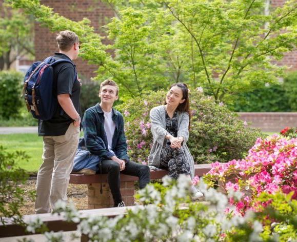 students sitting next to flowers