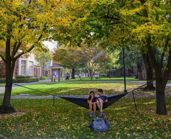 students sitting in hammock