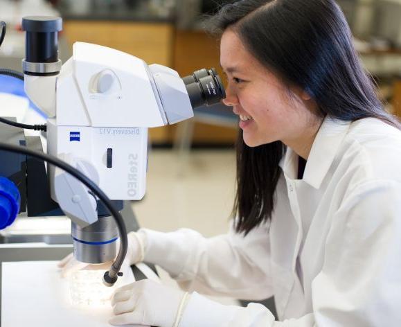 Scientist with microscope